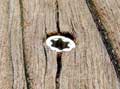 Oak beam pre-drilled holes